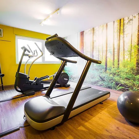 Отель Novotel Avold 4*