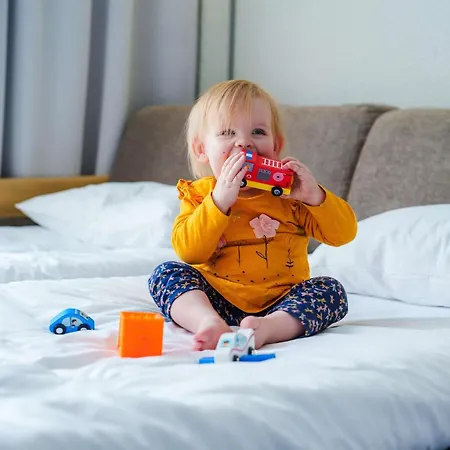 Novotel Avold Szálloda 4*